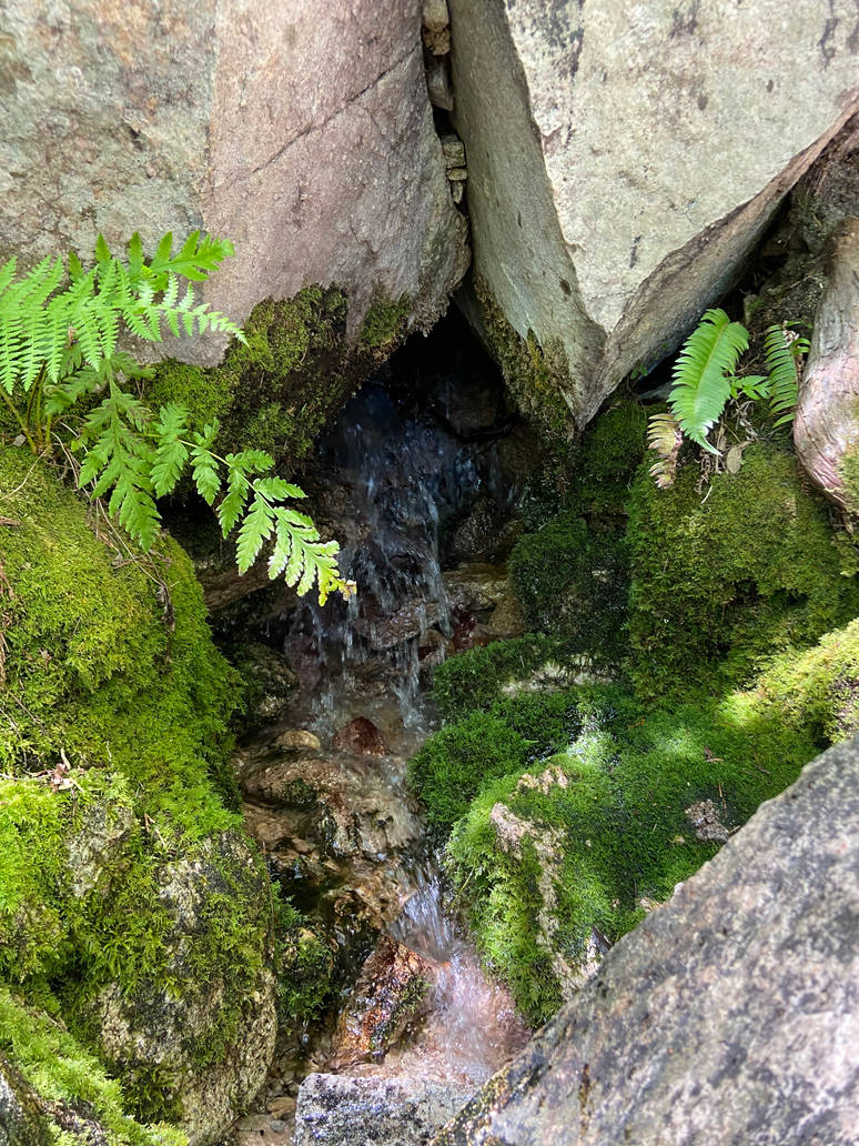 Difficult Hidden Spring Hidden Spring by Arisdiel-Leonafin on DeviantArt