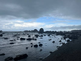Euphoric Sea Dreams