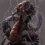 giant centipede - gyromancer