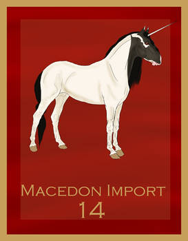 Raffle Import 2 Macedon Import 13