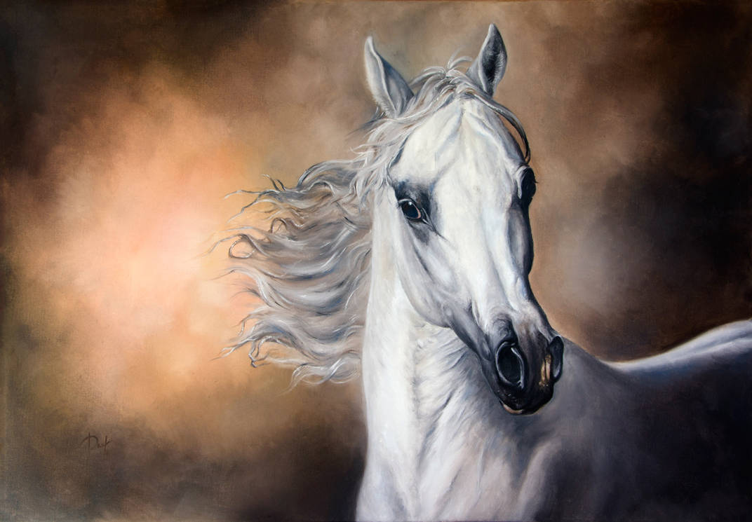 Arabian Horse by IrenaDem