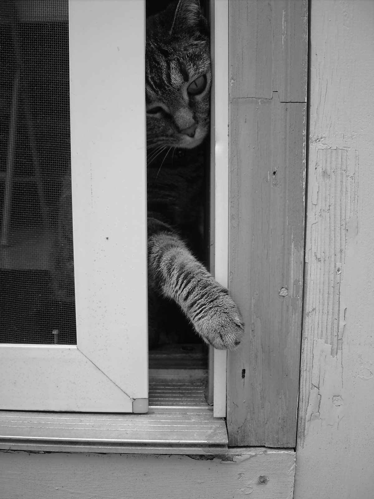 Let Me Out... Please?