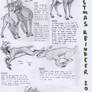 Christmas Reindeer - designs
