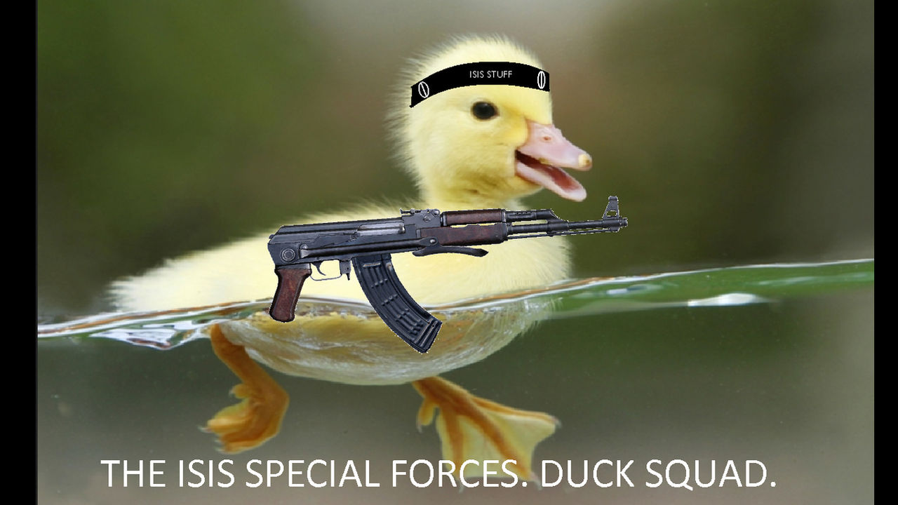 ISIS duck