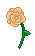 Pixel Rose Practice