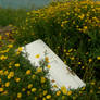 door in a flower bush stock