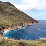 Wild Coast Square by LylicaGalatea