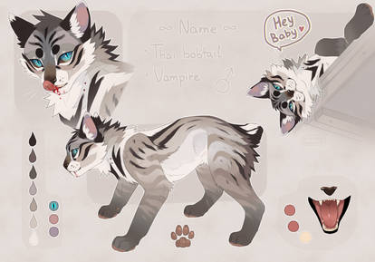 Thai Bobtail {ADOPT AUCTION CLOSED}