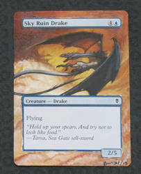 Sky Ruin Drake