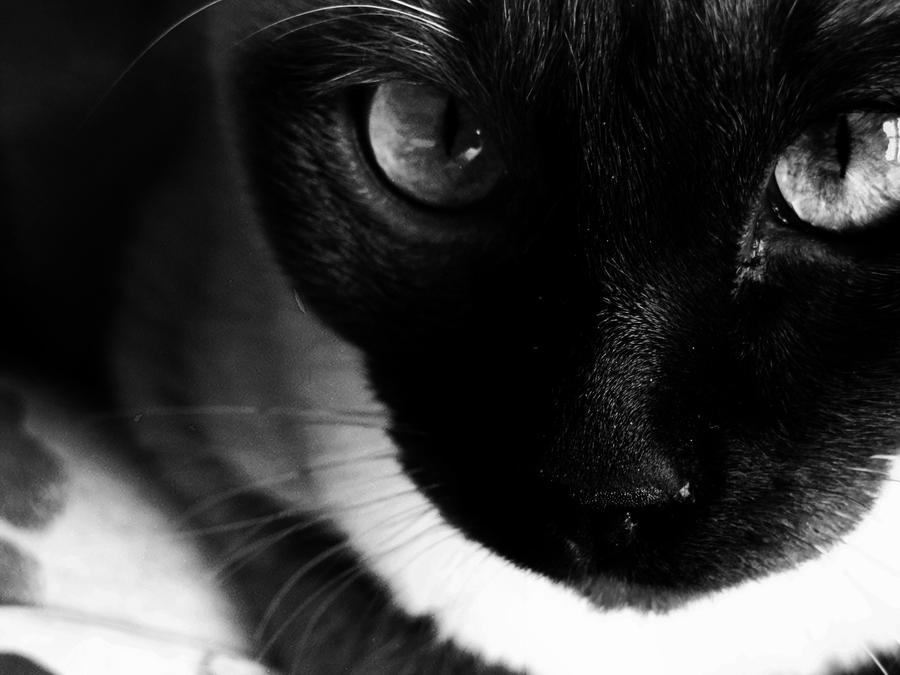 Mr. Wilson by JonnieStout on DeviantArt