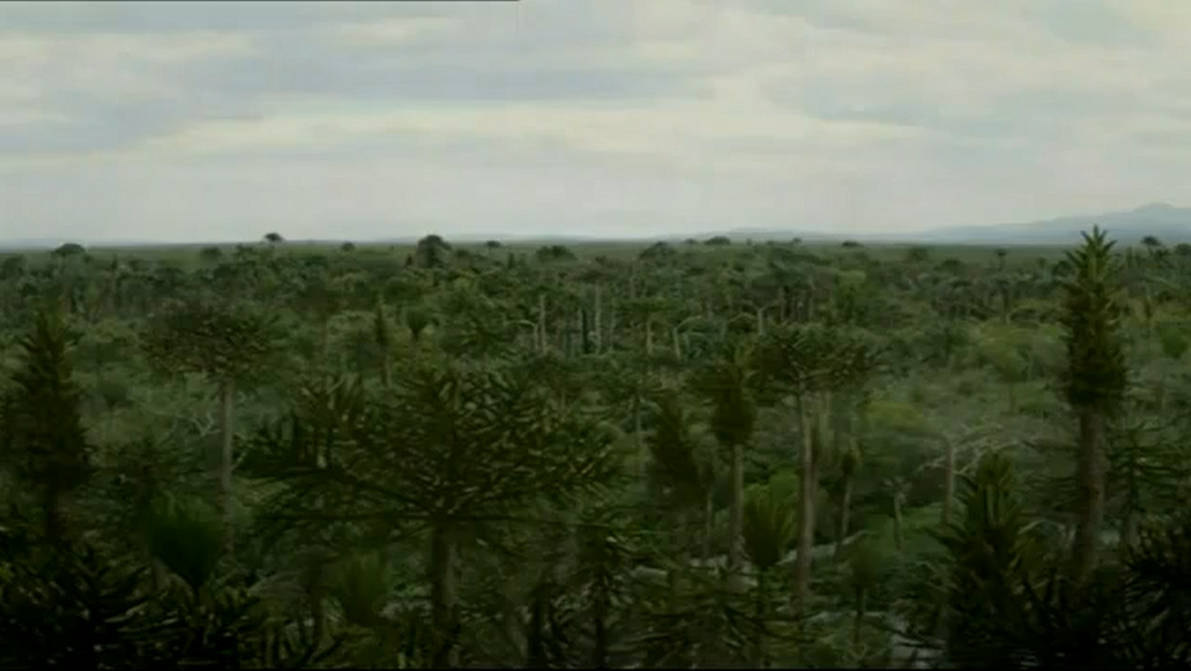 The Carboniferous Swamp Forests by BenHughes14 on DeviantArt