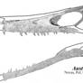 Austroraptor Skull Composite