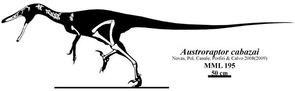 Austroraptor, Spinosaur-Mimic