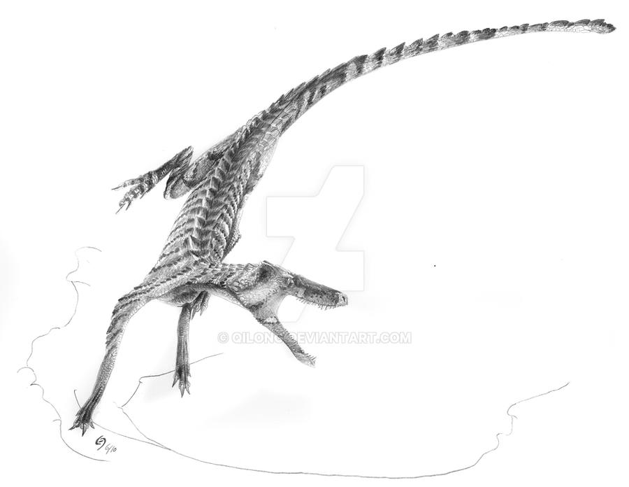 Hesperosuchus Speed Turn