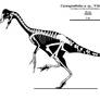 The Last Oviraptorosaur