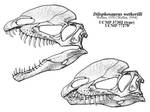 The Dilophosaurus Yawn