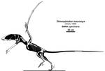 Toucan Pterosaurs