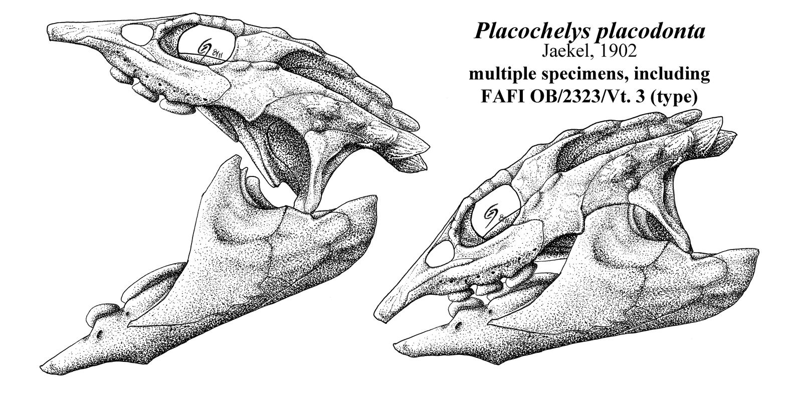 Triassic Palate Mashers by Qilong