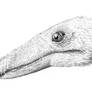 Paulian Velociraptor