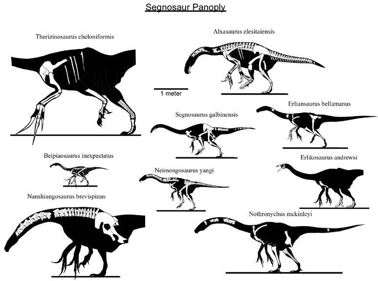 Segnosaurs For Your Amusement