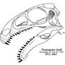 Noasaurid Speculation 2: Noasaurus leali