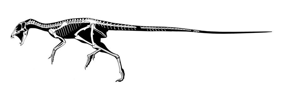 Tuck's Different-Toothed Lizard by Qilong