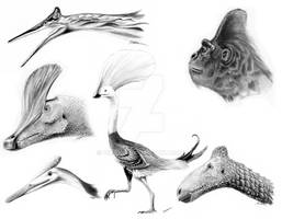 Strange Crests of Paleo