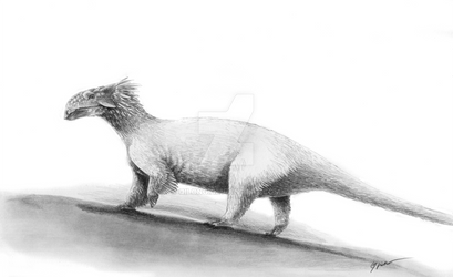 Fluffy Ankylosaur