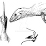 Vignette Trio 1