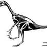 The Best Little Oviraptorid in Mongolia