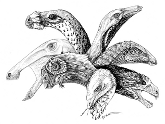 Theropod Herbivores