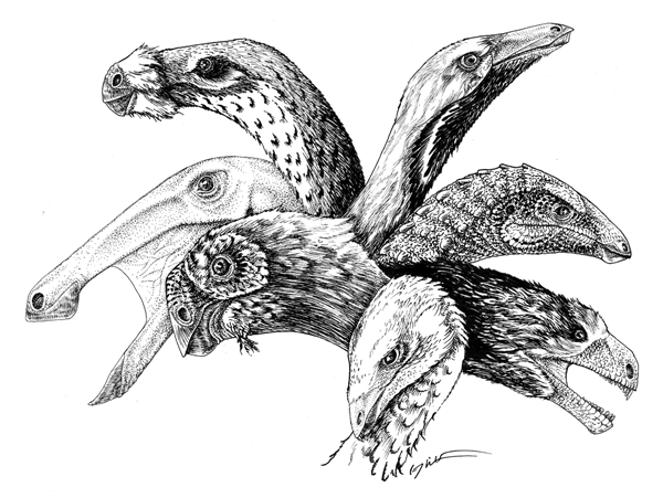 Theropod Herbivores by Qilong