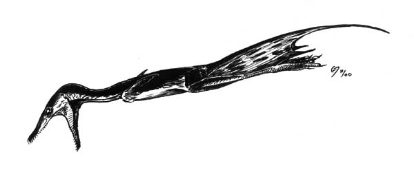 Sharovipteryx Perspective