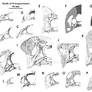 Oviraptorosauria Snouts