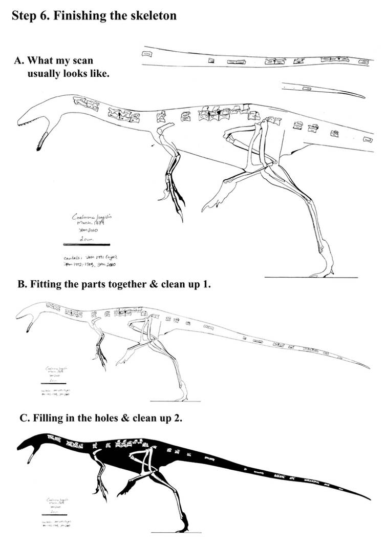 Coelurus Deviantart Coelurus Project, Part 5 by Qilong on DeviantArt
