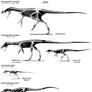 Compsognathids on the Whole