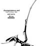 The Ugliest Pterosaur Skeleton