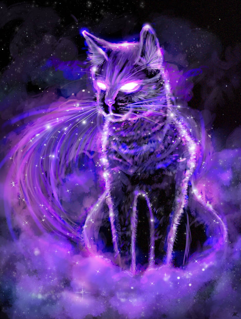Фиолетовый кот видео. Коты Воители Фиалковая звезда. Коты Воители фиолетовая звезда. Фиолетовая кошка. Волшебные кошки.