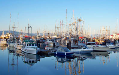 Parksville Marina