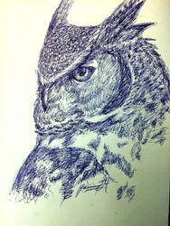 Work Doodle: Great Horned Owl 