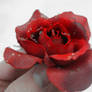 Red Rose