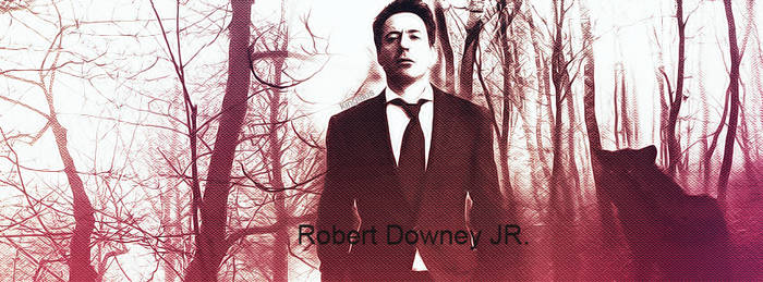 Robert Downey JR