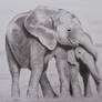 African Elephants A3 Drawing