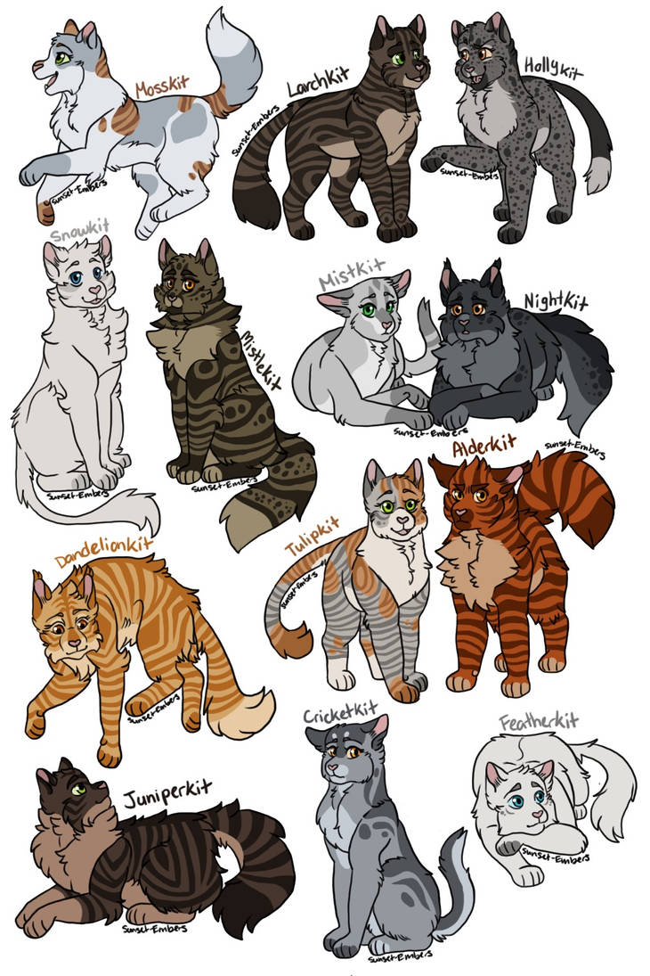 Kits of Thunderclan, gone but not forgotten by Sunset-Embers on DeviantArt