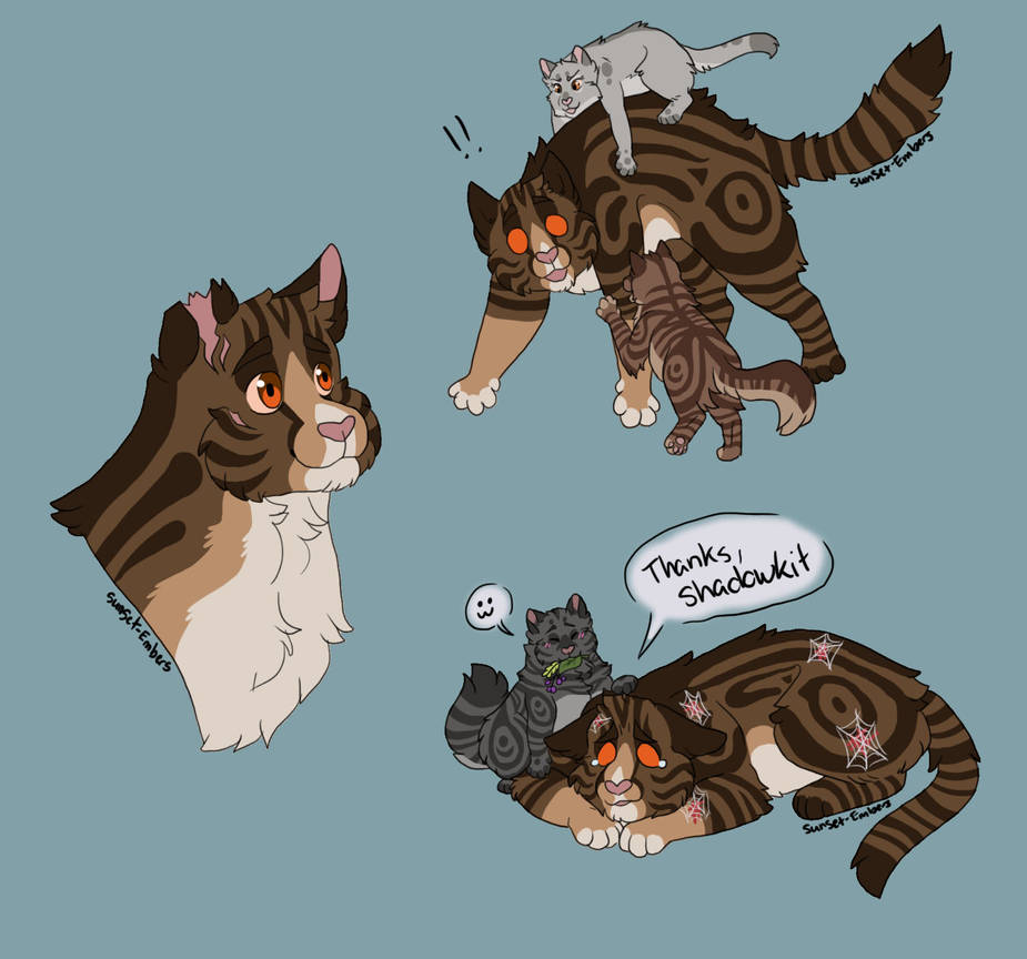 Strikestone Strikestone is my favourite warrior cat by Sunset-Embers on DeviantArt