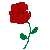 shine rose animated pixel art