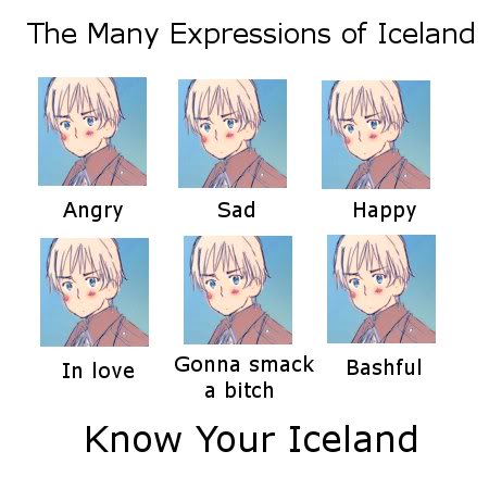 the many expressions of iceland....