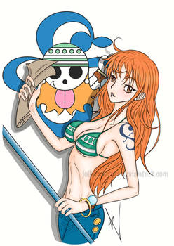 Nami: Time skip