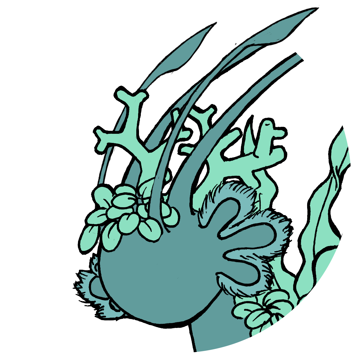 Creation guide - Ghoti by Enteli on DeviantArt