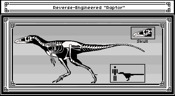 Additional Structures Rex Raptor Reverse-Engineered Raptor Skeleton by Sir-Conor on DeviantArt